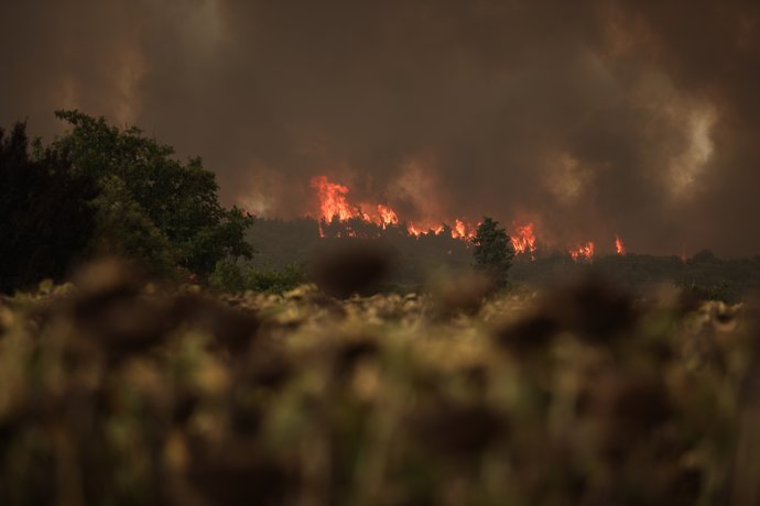 Εύβοια: Φωτιά στο Αλιβέρι - Μαίνονται οι φλόγες στην Καλλιθέα της Πάτρας