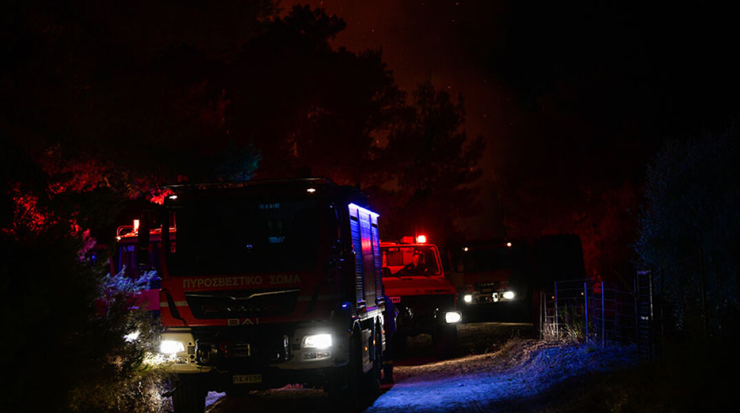 Σαλαμίνα: Υπό έλεγχο η πυρκαγιά στα Αμπελάκια - Δεν απείλησε κατοικημένη περιοχή