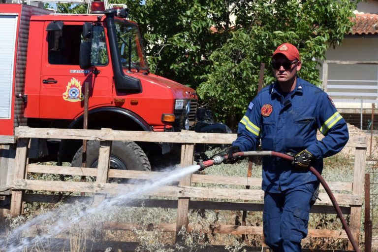 Φωτιά τώρα στην Ελευσίνα – Κοντά στην εθνική οδό