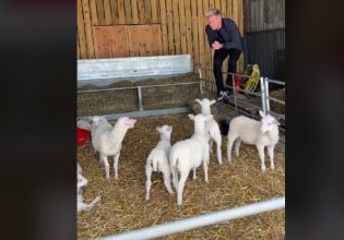 Γκόρντον Ράμσεϊ: «Αυτό ξεπερνά τα όρια» – Το TikTok τα έβαλε μαζί του – Τι συνέβη;