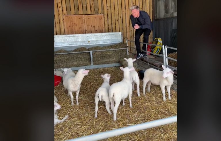 Γκόρντον Ράμσεϊ: «Αυτό ξεπερνά τα όρια» – Το TikTok τα έβαλε μαζί του – Τι συνέβη;