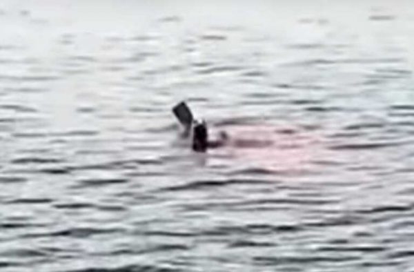 Καρχαρίας κατασπάραξε τουρίστρια μπροστά σε άλλους λουόμενους