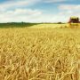 ΕΕ: Πώς επηρεάζονται οι αγροτικές αγορές από τη ρωσική εισβολή