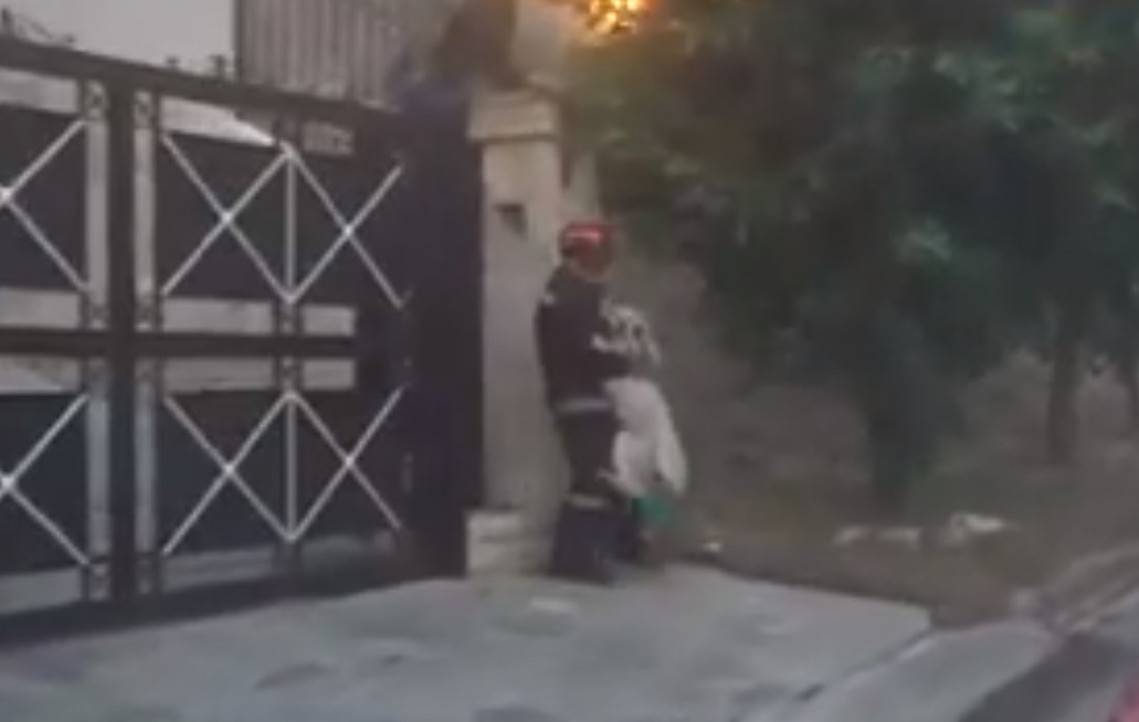 Συγκινητικό βίντεο από το Ντράφι: Εθελοντής με γυμνά χέρια σώζει μεγαλόσωμο σκύλο, πηδώντας φράχτη