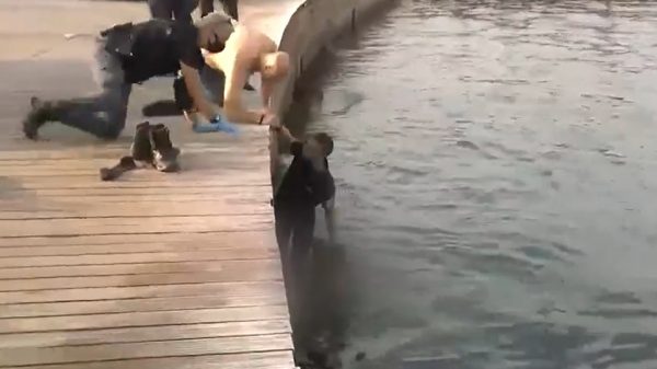 Θεσσαλονίκη: Προφυλακιστέοι δύο αλλοδαποί που κατηγορούνται ότι διακινούσαν ναρκωτικά στο ΑΠΘ