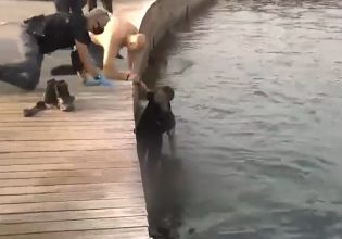 ΑΠΘ: Καταδίωξη διακινητών ναρκωτικών – Αιμόφυρτος ο 22χρονος που είχε βουτήξει στον Θερμαϊκό