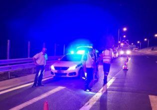 Κοζάνη: Αρκούδα συγκρούστηκε με αυτοκίνητο στην Εγνατία Οδό