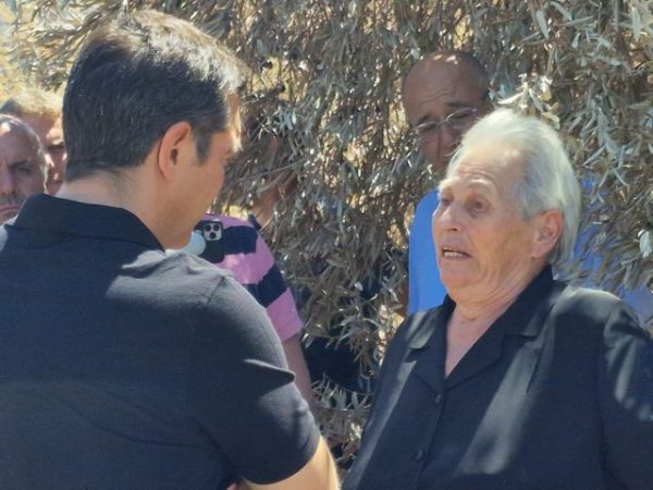 Δελφικό τοπίο: «Εγώ δεν θα ξαναμαζέψω ελιές από αυτά τα δέντρα»