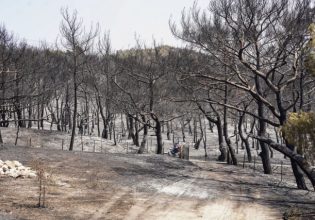 Φωτιά στη Λέσβο: Ο δήμαρχος ζητά επιδότηση τουρισμού με voucher στα Βατερά