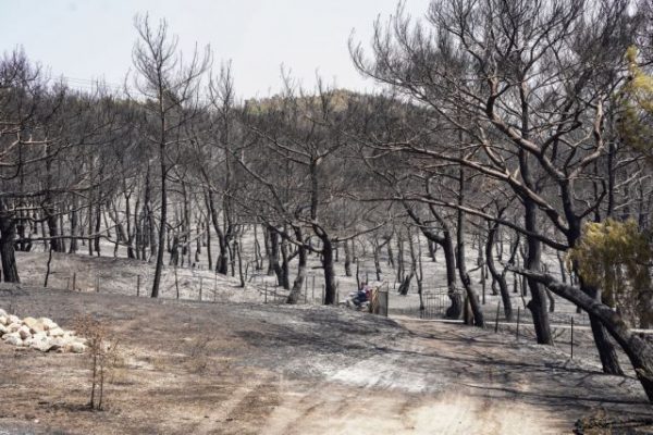 Λέσβος: Πόσα στρέμματα κάηκαν από τη φωτιά – Ποια ήταν η σφοδρότητα καύσης