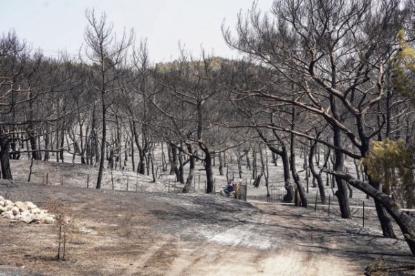 Λέσβος: Πόσα στρέμματα κάηκαν από τη φωτιά - Ποια ήταν η σφοδρότητα καύσης