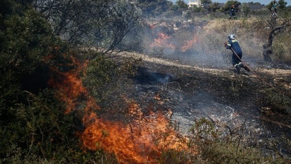 Φωτιές: Μάχη με τις φλόγες στο δάσος της Δαδιάς, σηκώθηκαν εναέρια – Η εικόνα στα υπόλοιπα μέτωπα