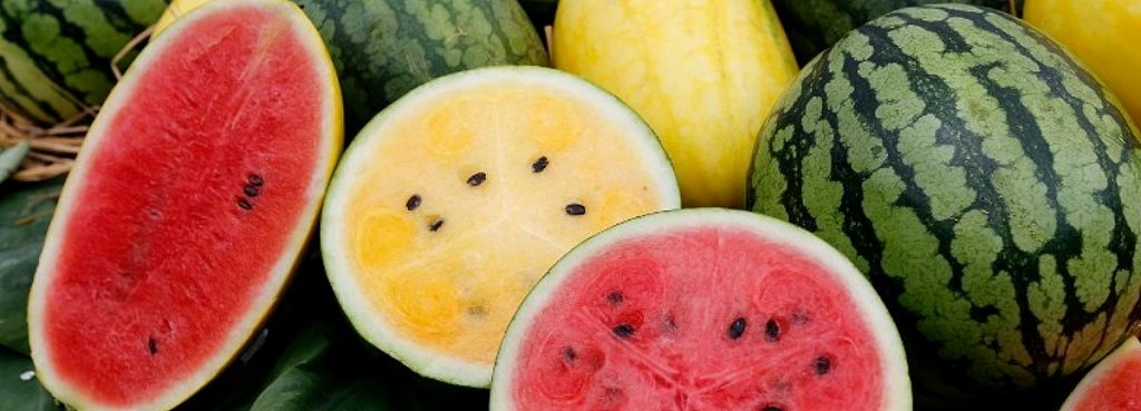 Καρπούζι: Μην πετάτε τα σπόρια και πως να τα χρησιμοποιήσετε για να βελτιώσετε την υγεία σας