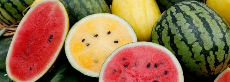 Καρπούζι: Μην πετάτε τα σπόρια και πως να τα χρησιμοποιήσετε για να βελτιώσετε την υγεία σας