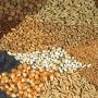 Κομισιόν: Οι «παρεκκλίσεις» έφεραν αύξηση πρωτεϊνούχων καλλιεργειών και ηλίανθου