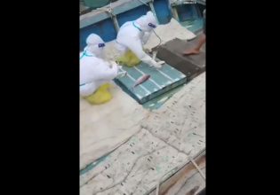 Κίνα: Σε έλεγχο για κοροναϊό υποβάλλει τους ιπποπόταμους, τα ψάρια και τα καβούρια