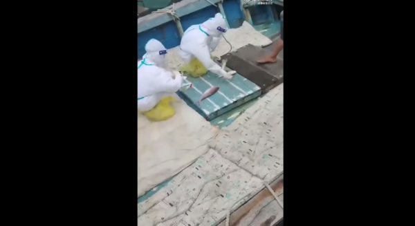 Κίνα: Σε έλεγχο για κοροναϊό υποβάλλει τους ιπποπόταμους, τα ψάρια και τα καβούρια