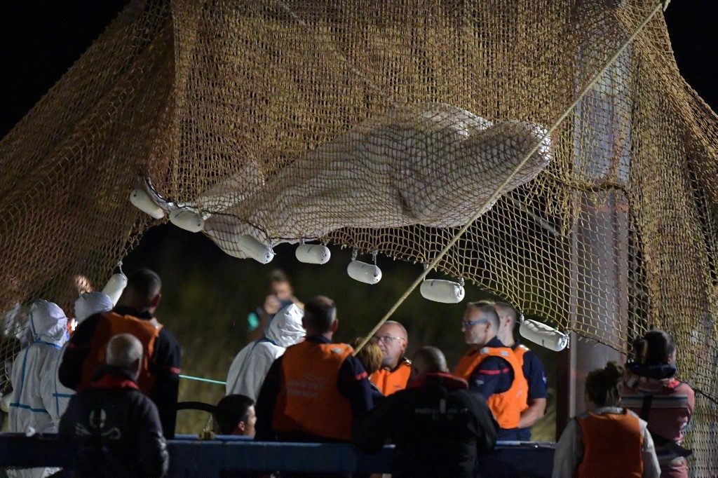 Γαλλία: Εβγαλαν από τον Σηκουάνα την παγιδευμένη φάλαινα