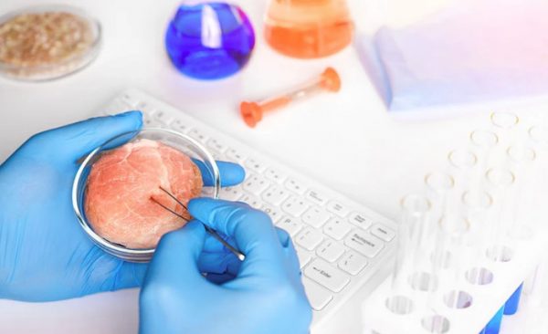 Εντυπωσιακό επιστημονικό επίτευγμα – Επιστήμονες «ξαναζωντάνεψαν» ζωτικά όργανα