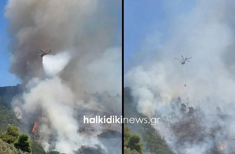 Άγιο Όρος: Ενισχύθηκαν οι δυνάμεις της Πυροσβεστικής - Μάχη με τις φλόγες σε δύσβατη περιοχή
