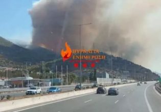 Φωτιά στη Νέα Πέραμο: Κλειστή η Ολυμπία Οδός – Ισχυρές δυνάμεις της πυροσβεστικής