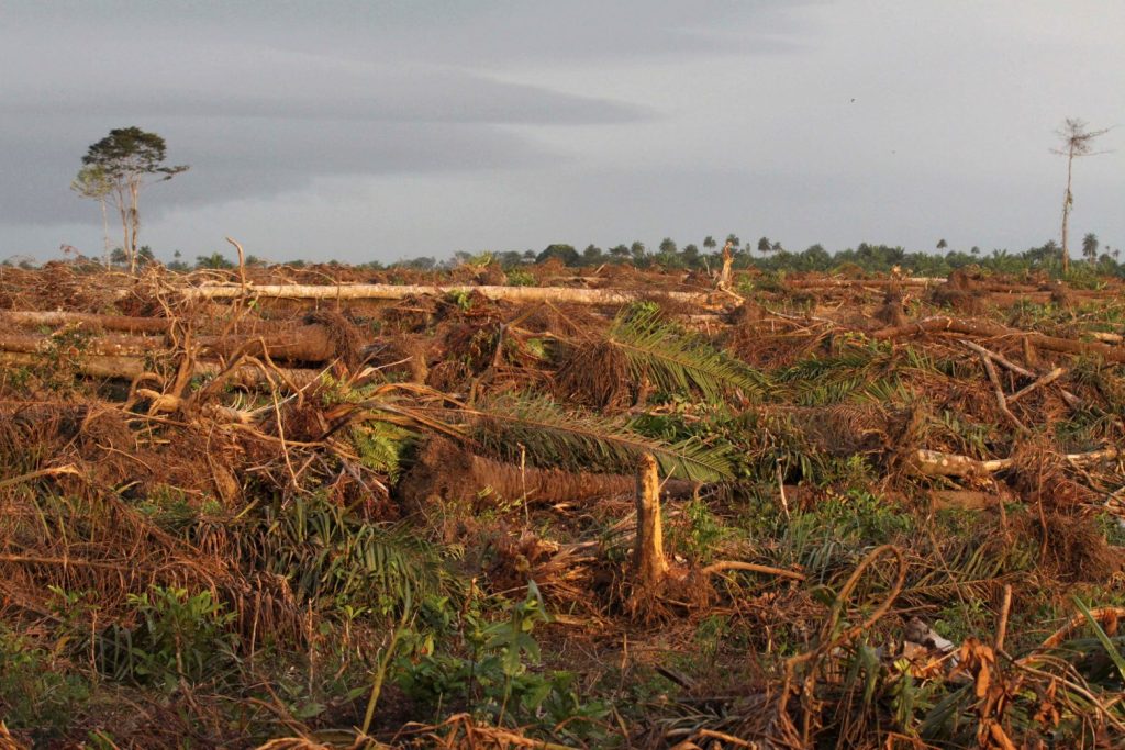 Σιέρα Λεόνε: Η περιβαλλοντική νομοθεσία που δίνει τη δύναμη στους απλούς πολίτες