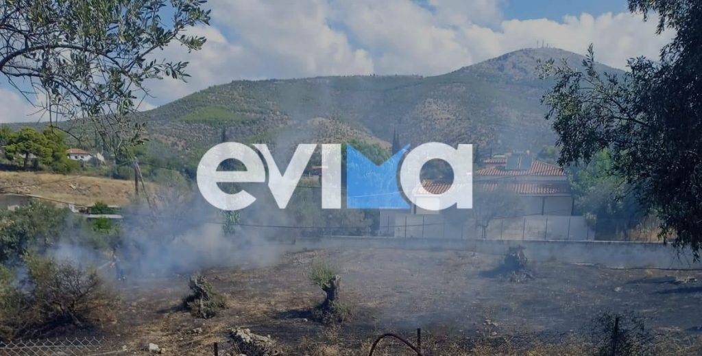 Φωτιά στην Εύβοια: Τέθηκε υπό έλεγχο – Μέχρι τα σπίτια έφτασαν οι φλόγες στην Ερέτρια