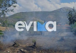 Φωτιά στην Εύβοια: Τέθηκε υπό έλεγχο – Μέχρι τα σπίτια έφτασαν οι φλόγες στην Ερέτρια