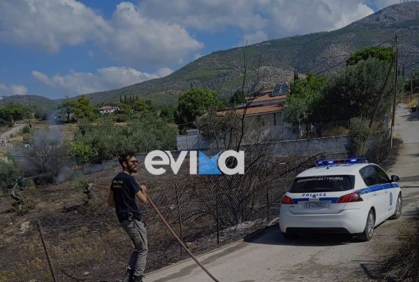 Φωτιά στην Εύβοια: Κοντά σε σπίτια οι φλόγες στην Ερέτρια