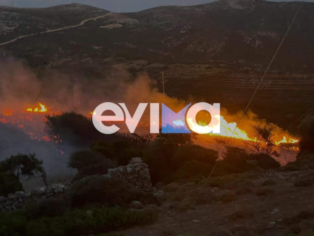 Φωτιά στην Εύβοια – Πυρκαγιά ξέσπασε στους Ραπταίους – Ισχυροί άνεμοι