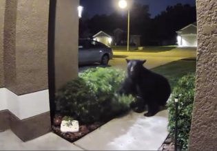 Ξεκαρδιστικό βίντεο: Κυνήγησαν την αρκούδα και άρχισαν να της… μουγκρίζουν για να σώσουν τον σκύλο τους