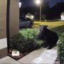 Ξεκαρδιστικό βίντεο: Κυνήγησαν την αρκούδα και άρχισαν να της… μουγκρίζουν για να σώσουν τον σκύλο τους