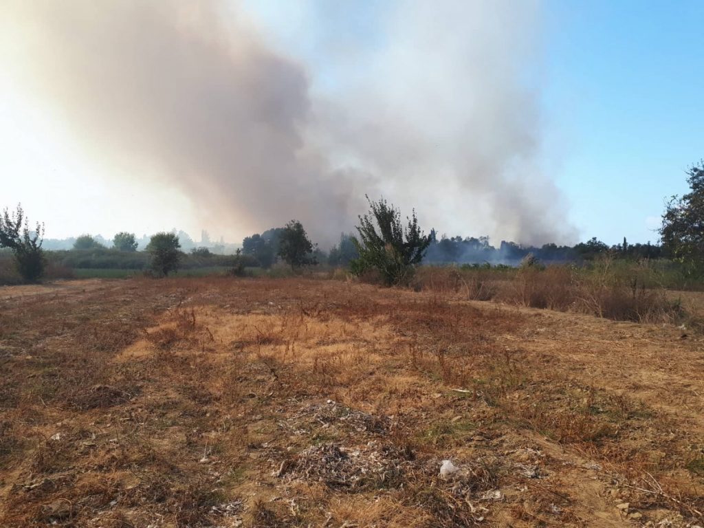 Φωτιά στη Κέρκυρα κοντά στη Λευκίμμη – Επιχειρούν επίγειες και εναέριες δυνάμεις
