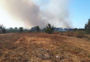 Φωτιά στη Κέρκυρα κοντά στη Λευκίμμη – Επιχειρούν επίγειες και εναέριες δυνάμεις