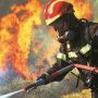 Φωτιά στη Φθιώτιδα: Στις φλόγες δασική έκταση στο Πετρωτό Δομοκού – Ενισχύονται οι δυνάμεις