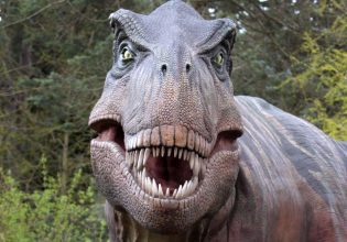 Μελέτη: Η κλιματική αλλαγή γέννησε την εποχή των ερπετών πριν 250 εκατομμύρια χρόνια