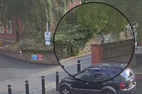 Βρετανία: Εννιάχρονη έκανε χούλα χουπ στον δρόμο μέχρι που τη μαχαίρωσαν μέχρι θανάτου