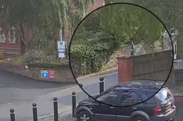 Βρετανία: Εννιάχρονη έκανε χούλα χουπ στον δρόμο μέχρι που τη μαχαίρωσαν μέχρι θανάτου