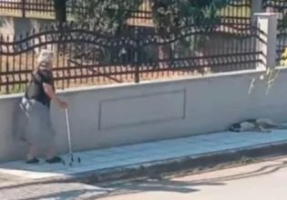Κακοποίηση ζώου: Δικογραφία σε βάρος 75χρονης που χτύπησε το σκύλο – Κατακραυγή μετά το βίντεο