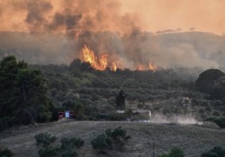 Συναγερμός στην πυροσβεστική: Μεγάλη φωτιά στη Μεσσηνία και μήνυμα του 112 για εκκένωση
