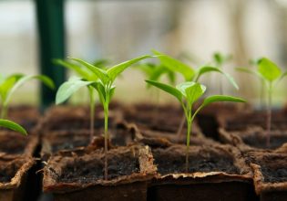 ΚΑΠ: Πώς θα επιτευχθεί η ορθολογική χρήση των θρεπτικών συστατικών στη γεωργία