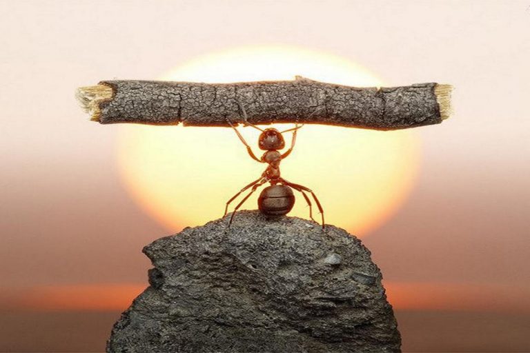 Εργαζόμενοι που γίνονται «σκουπίδια» στην εργασιακή ζούγκλα