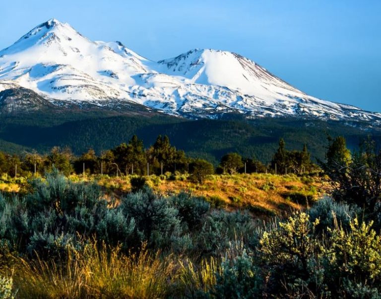 ΗΠΑ: Θρίλερ με πάρκο που «καταπίνει» ανθρώπους – 11 εξαφανίσεις σε 10 χρόνια