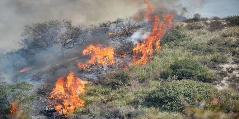 Φωτιά: Πυρκαγιά μεταξύ Αμορίου-Λαβάρων – Εκκενώνεται προληπτικά το στρατιωτικό φυλάκιο