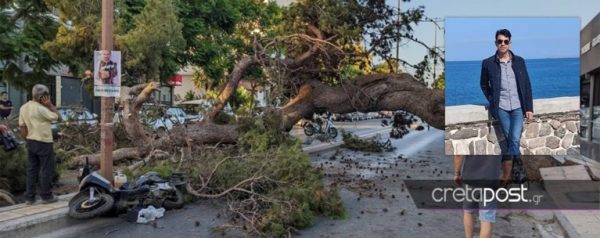 Κρήτη: Το βίντεο ντοκουμέντο με την πτώση του δέντρου που σκότωσε τον 51χρονο