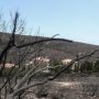 Φωτιές στην Αττική: Άνοιξε η πλατφόρμα για τους πληγέντες – Μέχρι 14.000 ευρώ η αποζημίωση
