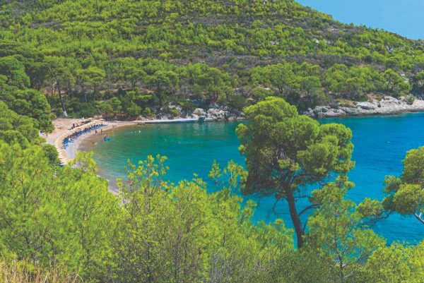 Σπέτσες: Αυτή είναι η πιο όμορφη παραλία του νησιού που τα πεύκα φτάνουν μέχρι τη θάλασσα
