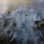 Αμαζόνιος: Αποψίλωση – ρεκόρ το 2022 – Καταστράφηκαν 5.474 στρέμματα δάσους σε επτά μήνες