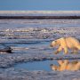 Κλιματική αλλαγή: Η Αρκτική ανεβάζει θερμοκρασία 4 φορές ταχύτερα από την υπόλοιπη Γη