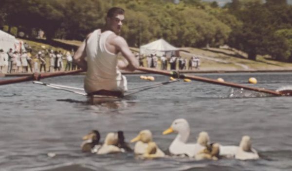 Ο πρωταθλητής κωπηλασίας που έκοψε ταχύτητα για να… περάσουν τα παπάκια